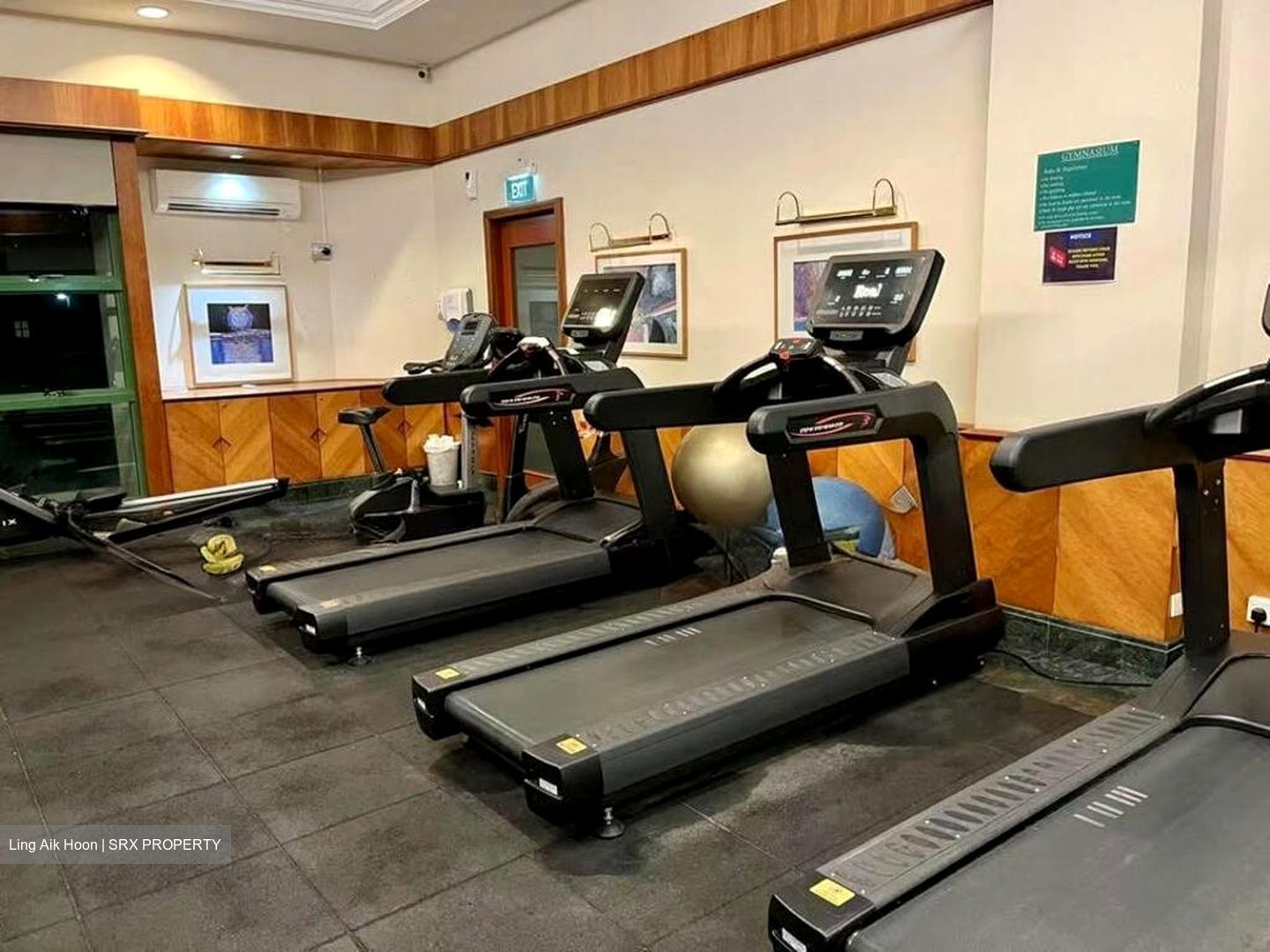 Simsville (D14), Condominium #495883141